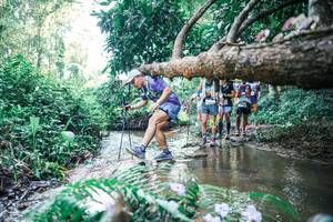 BIB: 
                            <button type="button" onclick="openModal(25444449)" class="btn btn-primary btn-sm float-right btn-popup" data-toggle="modal" data-target=".modal-high-quality">
                        <i class="fas fa-shopping-cart"></i> Add to Cart
                    </button>
                                            <button type="button" onclick="isThisMe(25444449, true)" class="btn btn-success btn-sm float-right btn-popup btn-isme hidden" data-toggle="tooltip" data-placement="bottom" title="นี่คือรูปของคุณใช่ไหม คลิกที่นี่เพื่อเอาเข้าอัลบั้ม">
                        <i class="fas fa-plus"></i> Add to album
                    </button>
                    <button type="button" onclick="isThisMe(25444449, false)" class="btn btn-warning btn-sm float-right btn-popup btn-isnotme hidden">
                        <i class="fas fa-ban"></i> Remove from album
                    </button>